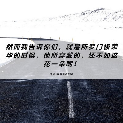 Picture 06 - 马 太 福 音 6:29 CUVS - 然 而 我 告 诉 你 们 ， 就 是 所 罗 - Bible Verse Picture