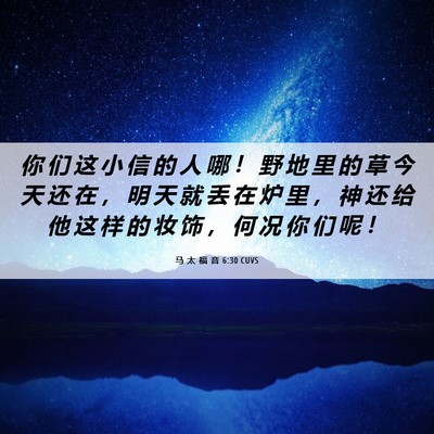 Picture 06 - 马 太 福 音 6:30 CUVS - 你 们 这 小 信 的 人 哪 ！ 野 地 里 - Bible Verse Picture