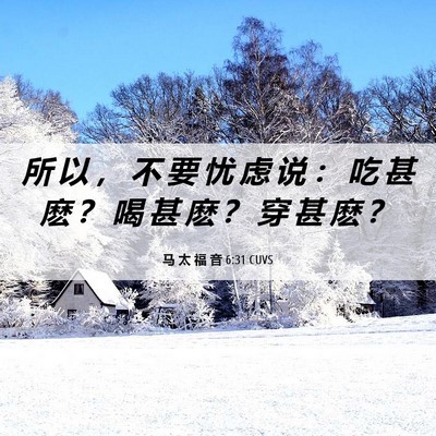 Picture 06 - 马 太 福 音 6:31 CUVS - 所 以 ， 不 要 忧 虑 说 ： 吃 甚 麽 - Bible Verse Picture