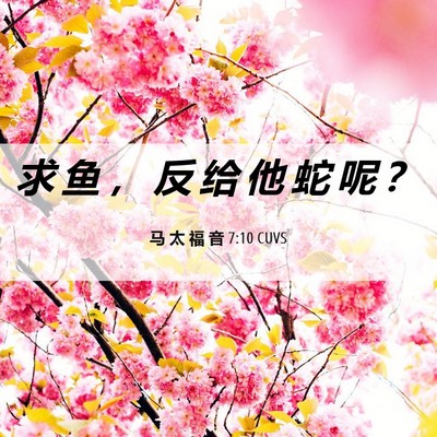 Picture 06 - 马 太 福 音 7:10 CUVS - 求 鱼 ， 反 给 他 蛇 呢 - Bible Verse Picture