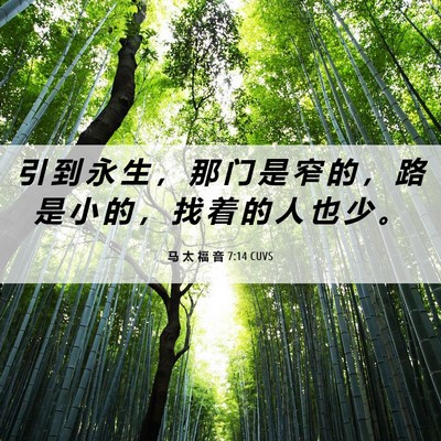 Picture 06 - 马 太 福 音 7:14 CUVS - 引 到 永 生 ， 那 门 是 窄 的 ， 路 - Bible Verse Picture