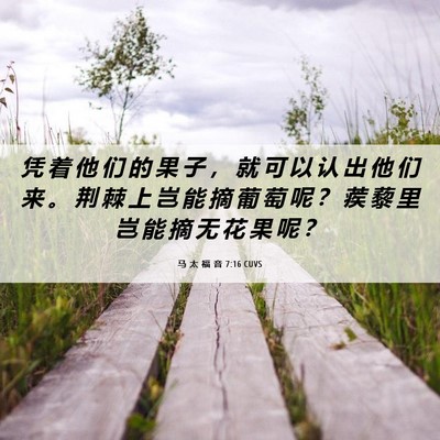 Picture 06 - 马 太 福 音 7:16 CUVS - 凭 着 他 们 的 果 子 ， 就 可 以 认 - Bible Verse Picture