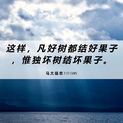 Picture 06 - 马 太 福 音 7:17 CUVS - 这 样 ， 凡 好 树 都 结 好 果 子 ， - Bible Verse Picture