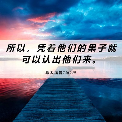 Picture 06 - 马 太 福 音 7:20 CUVS - 所 以 ， 凭 着 他 们 的 果 子 就 可 - Bible Verse Picture