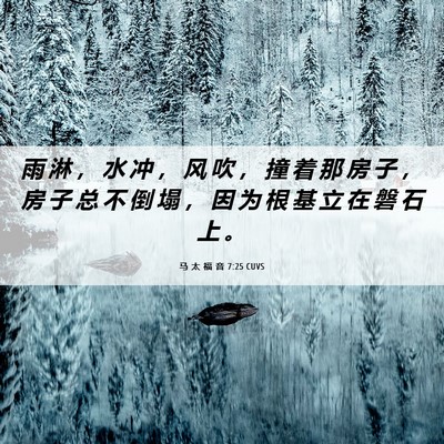 Picture 06 - 马 太 福 音 7:25 CUVS - 雨 淋 ， 水 冲 ， 风 吹 ， 撞 着 那 - Bible Verse Picture