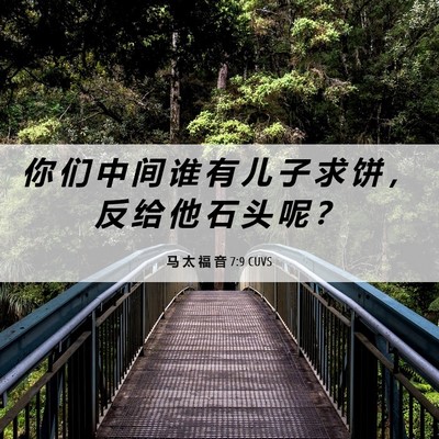 Picture 06 - 马 太 福 音 7:9 CUVS - 你 们 中 间 谁 有 儿 子 求 饼 ， 反 - Bible Verse Picture