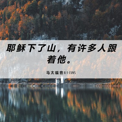 Picture 06 - 马 太 福 音 8:1 CUVS - 耶 稣 下 了 山 ， 有 许 多 人 跟 着 - Bible Verse Picture