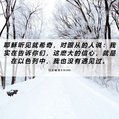 Picture 06 - 马 太 福 音 8:10 CUVS - 耶 稣 听 见 就 希 奇 ， 对 跟 从 的 - Bible Verse Picture