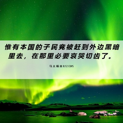 Picture 06 - 马 太 福 音 8:12 CUVS - 惟 有 本 国 的 子 民 竟 被 赶 到 外 - Bible Verse Picture