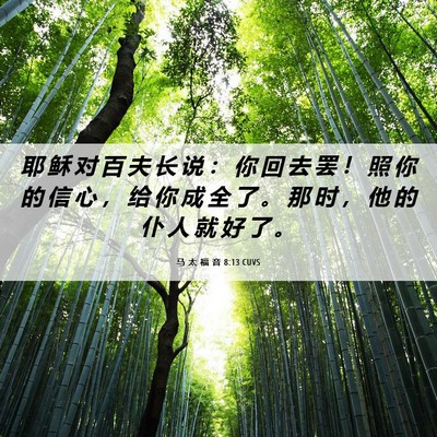 Picture 06 - 马 太 福 音 8:13 CUVS - 耶 稣 对 百 夫 长 说 ： 你 回 去 罢 - Bible Verse Picture