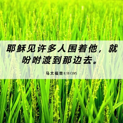 Picture 06 - 马 太 福 音 8:18 CUVS - 耶 稣 见 许 多 人 围 着 他 ， 就 吩 - Bible Verse Picture