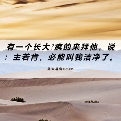 Picture 06 - 马 太 福 音 8:2 CUVS - 有 一 个 长 大 ? 疯 的 来 拜 他 ， 说 - Bible Verse Picture