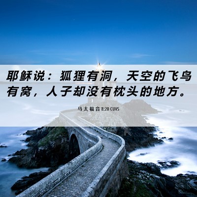 Picture 06 - 马 太 福 音 8:20 CUVS - 耶 稣 说 ： 狐 狸 有 洞 ， 天 空 的 - Bible Verse Picture