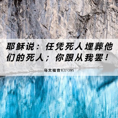 Picture 06 - 马 太 福 音 8:22 CUVS - 耶 稣 说 ： 任 凭 死 人 埋 葬 他 们 - Bible Verse Picture
