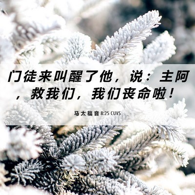 Picture 06 - 马 太 福 音 8:25 CUVS - 门 徒 来 叫 醒 了 他 ， 说 ： 主 阿 - Bible Verse Picture