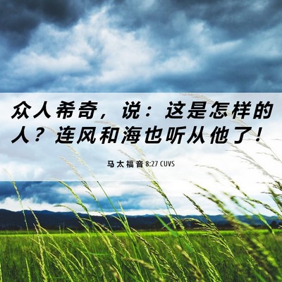 Picture 06 - 马 太 福 音 8:27 CUVS - 众 人 希 奇 ， 说 ： 这 是 怎 样 的 - Bible Verse Picture