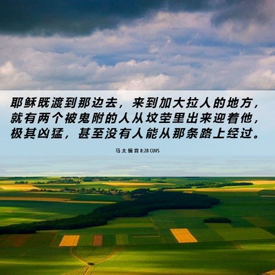 Picture 06 - 马 太 福 音 8:28 CUVS - 耶 稣 既 渡 到 那 边 去 ， 来 到 加 - Bible Verse Picture