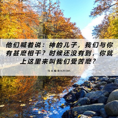 Picture 06 - 马 太 福 音 8:29 CUVS - 他 们 喊 着 说 ： 神 的 儿 子 ， 我 - Bible Verse Picture