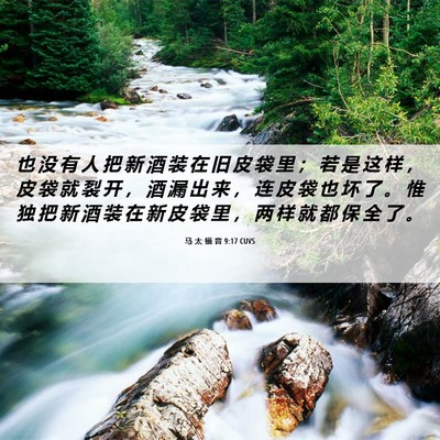 Picture 06 - 马 太 福 音 9:17 CUVS - 也 没 有 人 把 新 酒 装 在 旧 皮 袋 - Bible Verse Picture