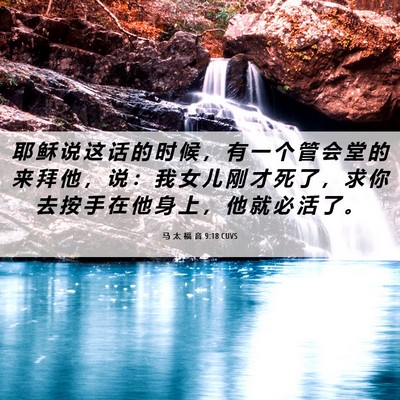 Picture 06 - 马 太 福 音 9:18 CUVS - 耶 稣 说 这 话 的 时 候 ， 有 一 个 - Bible Verse Picture