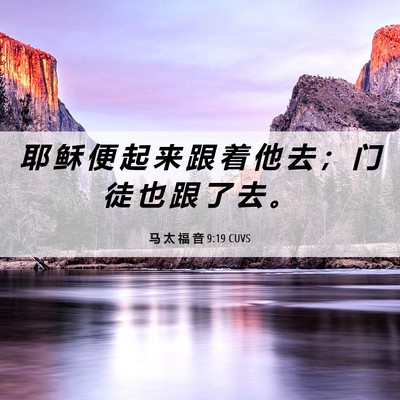 Picture 06 - 马 太 福 音 9:19 CUVS - 耶 稣 便 起 来 跟 着 他 去 ； 门 徒 - Bible Verse Picture