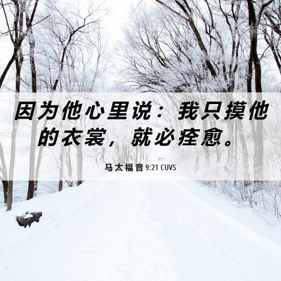 Picture 06 - 马 太 福 音 9:21 CUVS - 因 为 他 心 里 说 ： 我 只 摸 他 的 - Bible Verse Picture