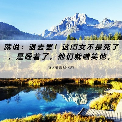 Picture 06 - 马 太 福 音 9:24 CUVS - 就 说 ： 退 去 罢 ！ 这 闺 女 不 是 - Bible Verse Picture