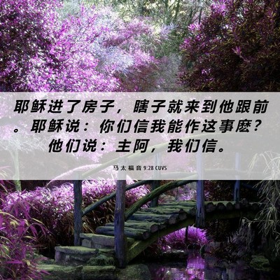 Picture 06 - 马 太 福 音 9:28 CUVS - 耶 稣 进 了 房 子 ， 瞎 子 就 来 到 - Bible Verse Picture