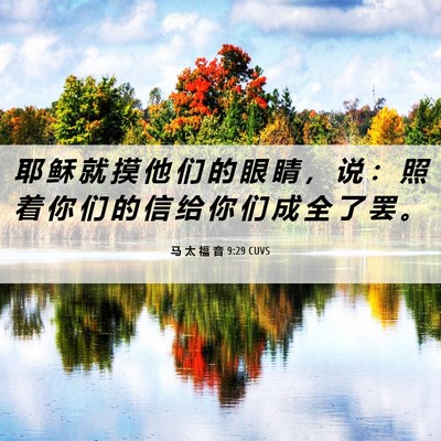 Picture 06 - 马 太 福 音 9:29 CUVS - 耶 稣 就 摸 他 们 的 眼 睛 ， 说 ： - Bible Verse Picture