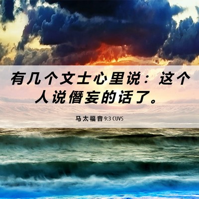 Picture 06 - 马 太 福 音 9:3 CUVS - 有 几 个 文 士 心 里 说 ： 这 个 人 - Bible Verse Picture