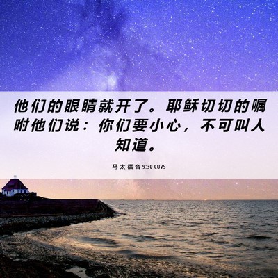 Picture 06 - 马 太 福 音 9:30 CUVS - 他 们 的 眼 睛 就 开 了 。 耶 稣 切 - Bible Verse Picture