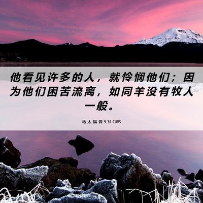 Picture 06 - 马 太 福 音 9:36 CUVS - 他 看 见 许 多 的 人 ， 就 怜 悯 他 - Bible Verse Picture