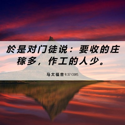 Picture 06 - 马 太 福 音 9:37 CUVS - 於 是 对 门 徒 说 ： 要 收 的 庄 稼 - Bible Verse Picture