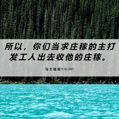 Picture 06 - 马 太 福 音 9:38 CUVS - 所 以 ， 你 们 当 求 庄 稼 的 主 打 - Bible Verse Picture
