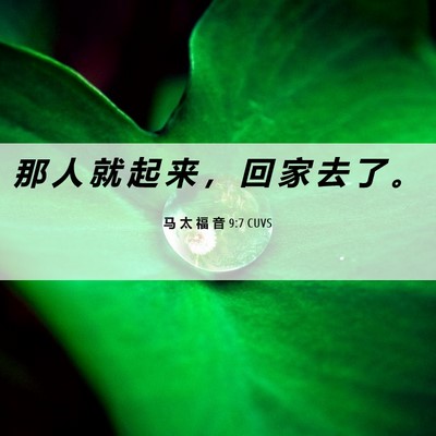 Picture 06 - 马 太 福 音 9:7 CUVS - 那 人 就 起 来 ， 回 家 去 了 - Bible Verse Picture