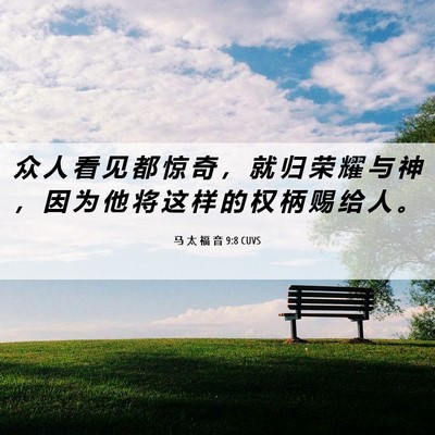 Picture 06 - 马 太 福 音 9:8 CUVS - 众 人 看 见 都 惊 奇 ， 就 归 荣 耀 - Bible Verse Picture