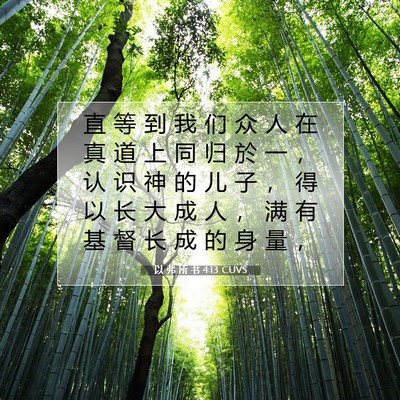 Picture 07 - 以 弗 所 书 4:13 CUVS - 直 等 到 我 们 众 人 在 真 道 上 同 - Bible Verse Picture