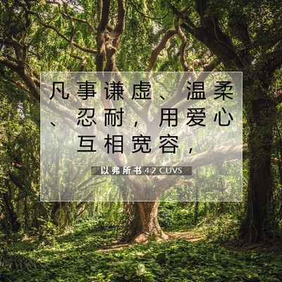 Picture 07 - 以 弗 所 书 4:2 CUVS - 凡 事 谦 虚 、 温 柔 、 忍 耐 ， 用 - Bible Verse Picture