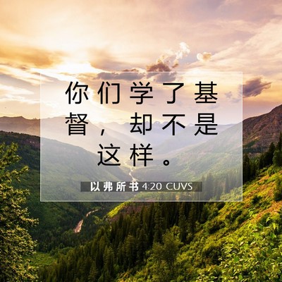 Picture 07 - 以 弗 所 书 4:20 CUVS - 你 们 学 了 基 督 ， 却 不 是 这 样 - Bible Verse Picture