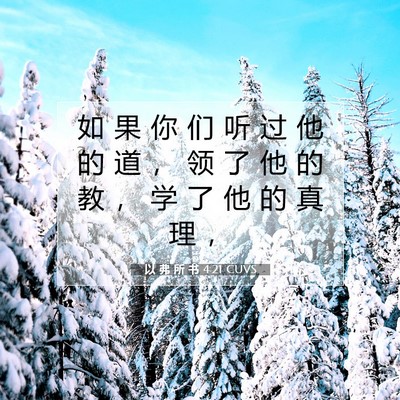 Picture 07 - 以 弗 所 书 4:21 CUVS - 如 果 你 们 听 过 他 的 道 ， 领 了 - Bible Verse Picture