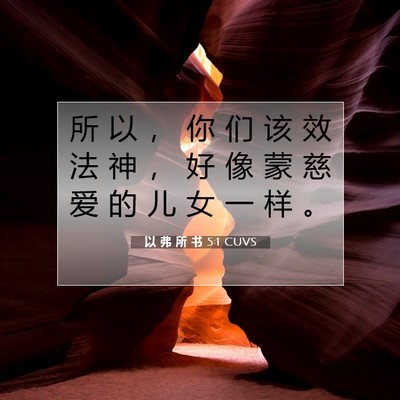 Picture 07 - 以 弗 所 书 5:1 CUVS - 所 以 ， 你 们 该 效 法 神 ， 好 像 - Bible Verse Picture