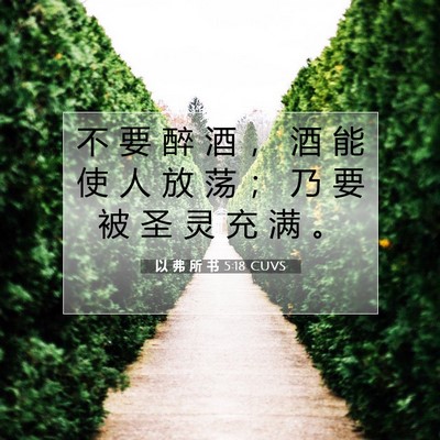 Picture 07 - 以 弗 所 书 5:18 CUVS - 不 要 醉 酒 ， 酒 能 使 人 放 荡 ； - Bible Verse Picture