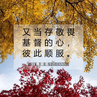 Picture 07 - 以 弗 所 书 5:21 CUVS - 又 当 存 敬 畏 基 督 的 心 ， 彼 此 - Bible Verse Picture