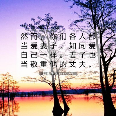 Picture 07 - 以 弗 所 书 5:33 CUVS - 然 而 ， 你 们 各 人 都 当 爱 妻 子 - Bible Verse Picture