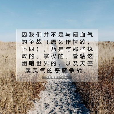 Picture 07 - 以 弗 所 书 6:12 CUVS - 因 我 们 并 不 是 与 属 血 气 的 争 - Bible Verse Picture