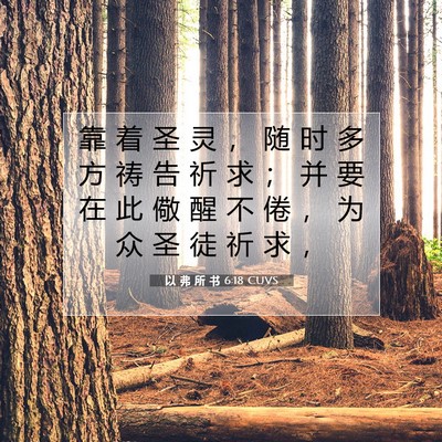 Picture 07 - 以 弗 所 书 6:18 CUVS - 靠 着 圣 灵 ， 随 时 多 方 祷 告 祈 - Bible Verse Picture