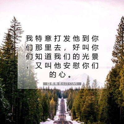 Picture 07 - 以 弗 所 书 6:22 CUVS - 我 特 意 打 发 他 到 你 们 那 里 去 - Bible Verse Picture