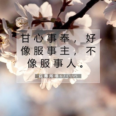 Picture 07 - 以 弗 所 书 6:7 CUVS - 甘 心 事 奉 ， 好 像 服 事 主 ， 不 - Bible Verse Picture