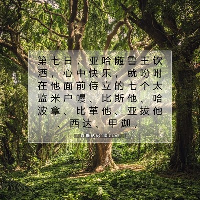 Picture 07 - 以 斯 帖 记 1:10 CUVS - 第 七 日 ， 亚 哈 随 鲁 王 饮 酒 ， - Bible Verse Picture
