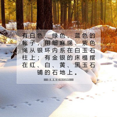 Picture 07 - 以 斯 帖 记 1:6 CUVS - 有 白 色 、 绿 色 、 蓝 色 的 帐 子 - Bible Verse Picture